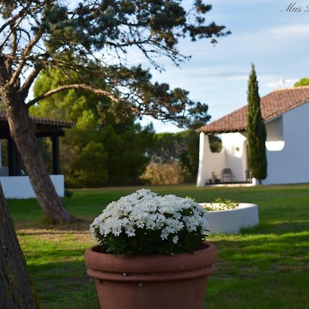 Mas Mls Hotel Saintes-Maries-de-la-Mer Exterior photo