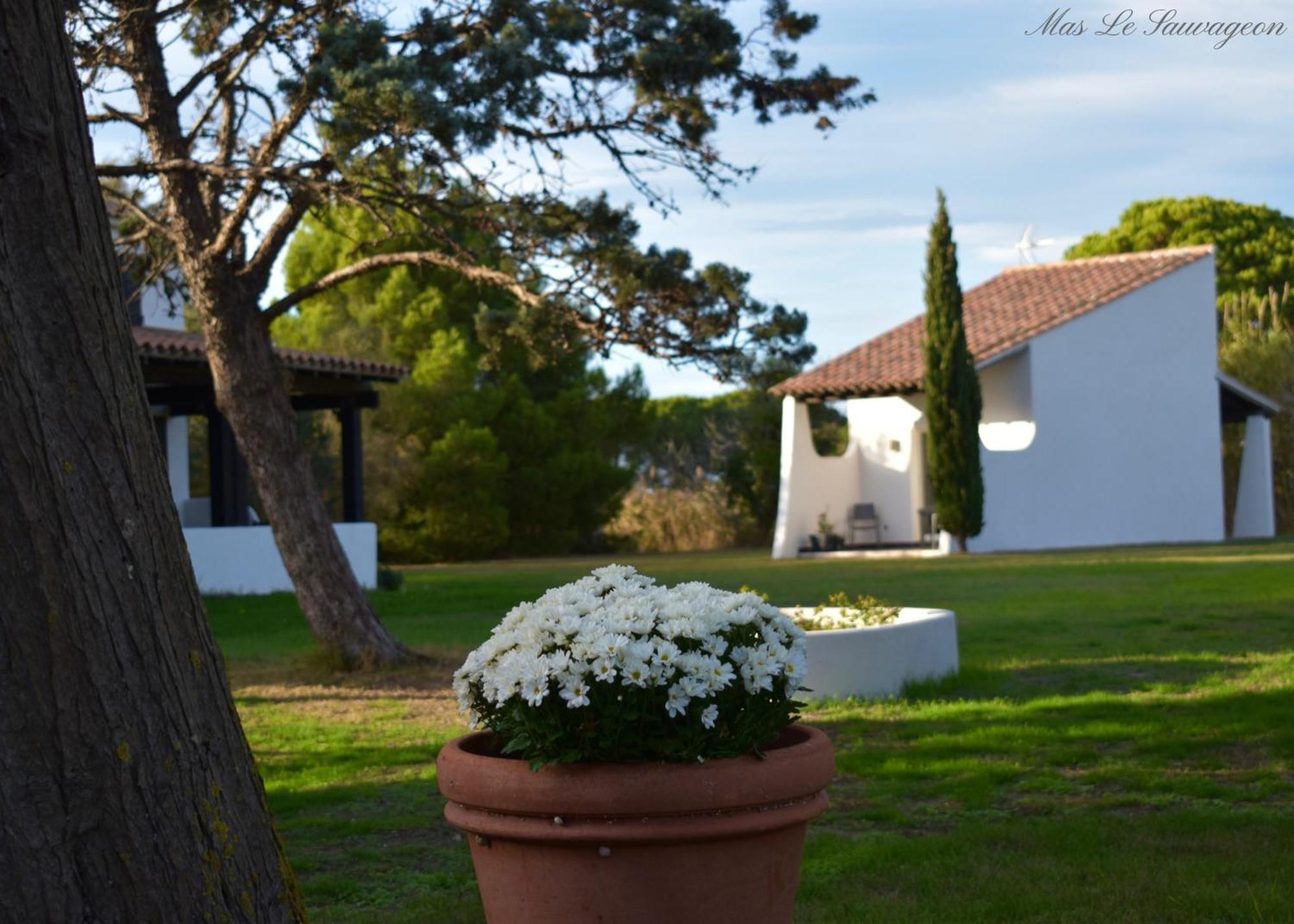 Mas Mls Hotel Saintes-Maries-de-la-Mer Exterior photo